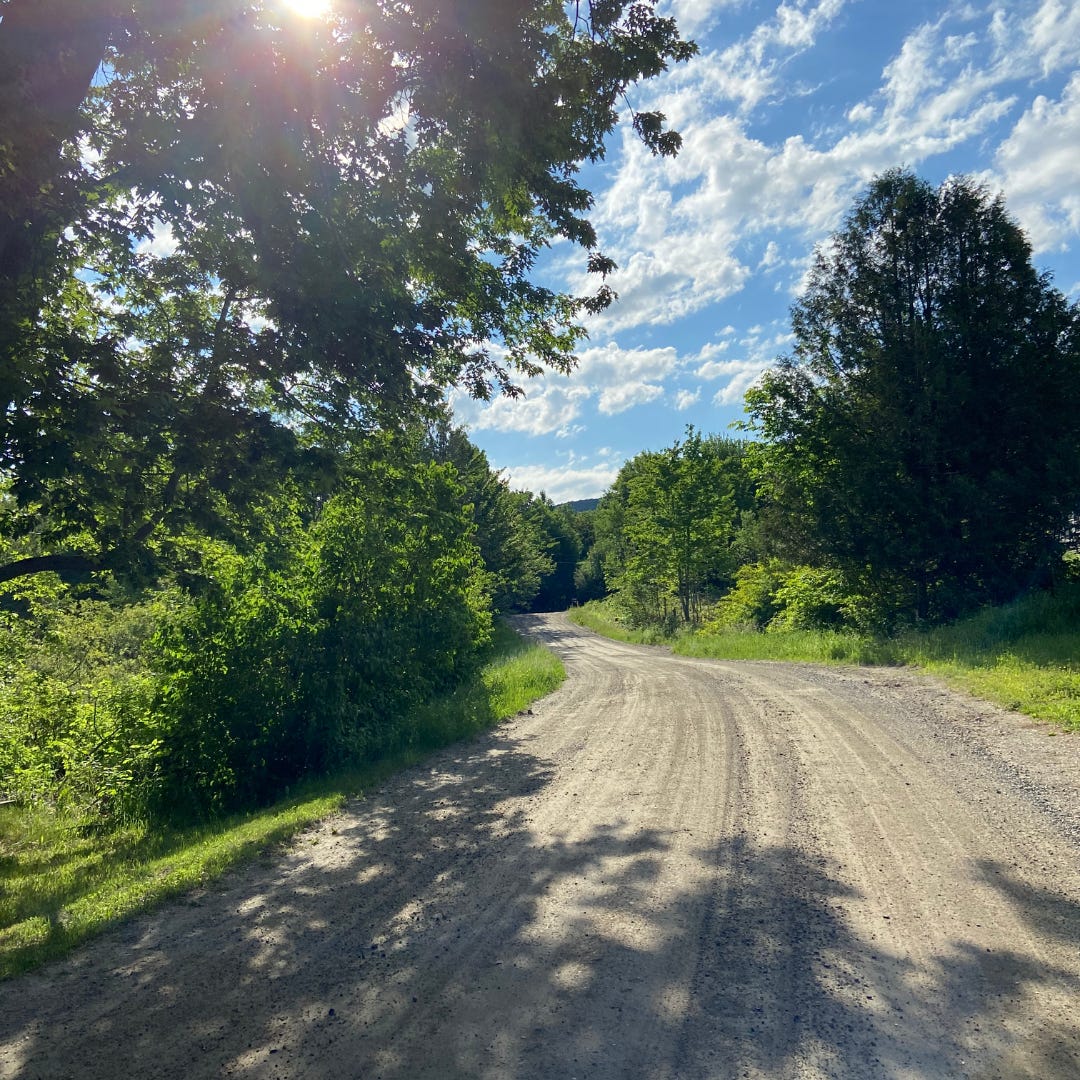 Picture shows a country road with the sun shining through the trees and a blue sky