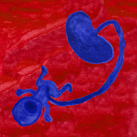 Rainbow Squared, Year 5, Piece Forty-Five: 5. Red Blue. An animated loop on a flat red inky background. A flat blue image of a screaming baby attached to placenta pops up and rotates, eventually staying on screen until there are four in a complete circle constituting a new shape that shrinks and then pops up around the screen in a grid. The small shape then dances between the gaps in the grid, filling the screen and then creating new grids on the screen, eventually reducing to just one shape and expanding back to the original size and looping. 