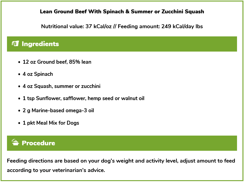 Lean Ground Beef With Spinach & Summer or Zucchini Squash