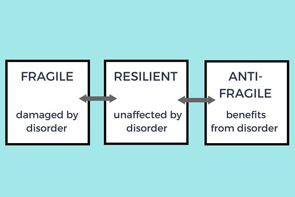 Beyond Resilience: How to Live an Anti-fragile Life | by Dr Sarah Taylor |  Medium