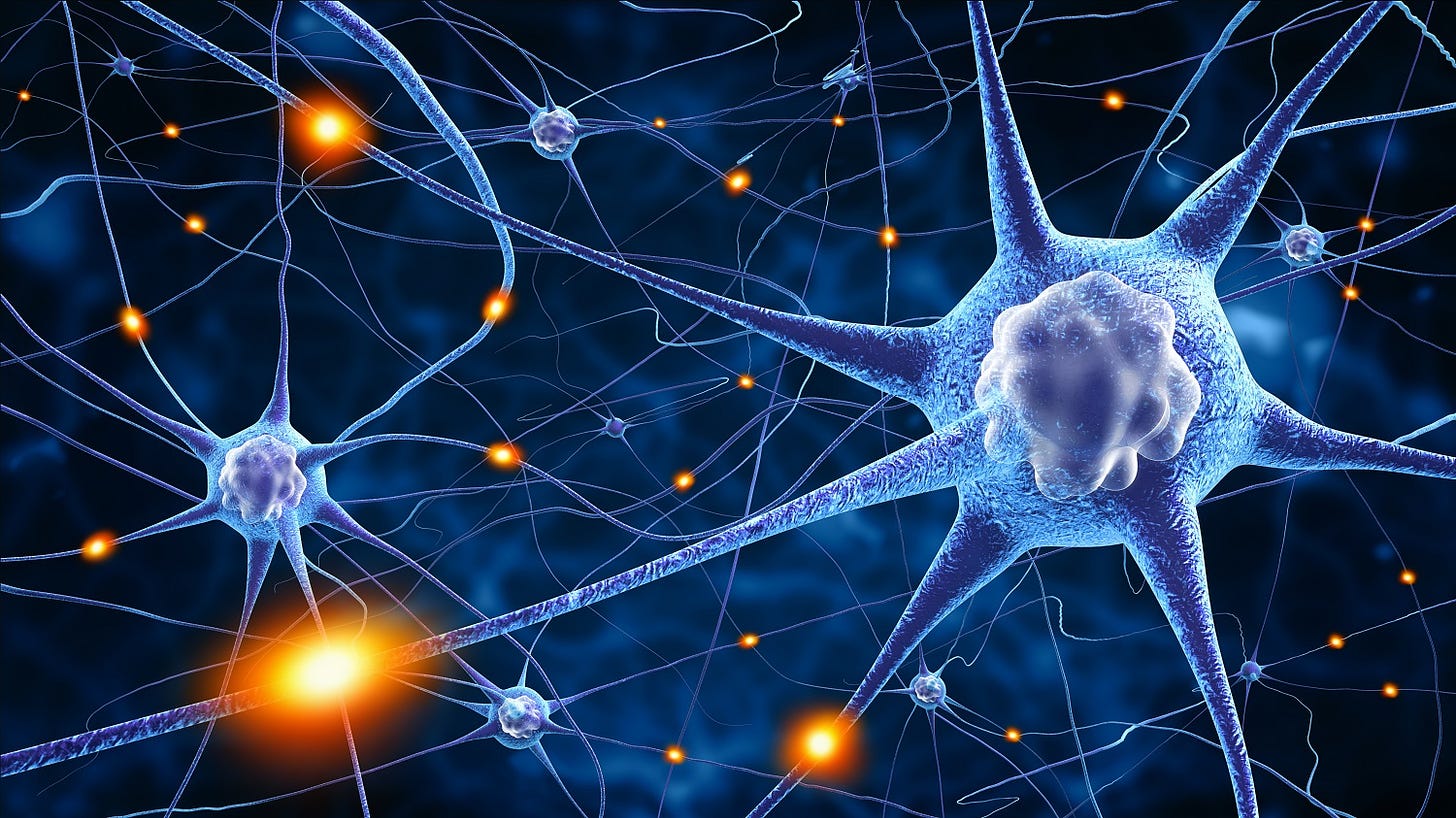 7 Major Developments in Neuroscience of 2017 | NeuroTracker