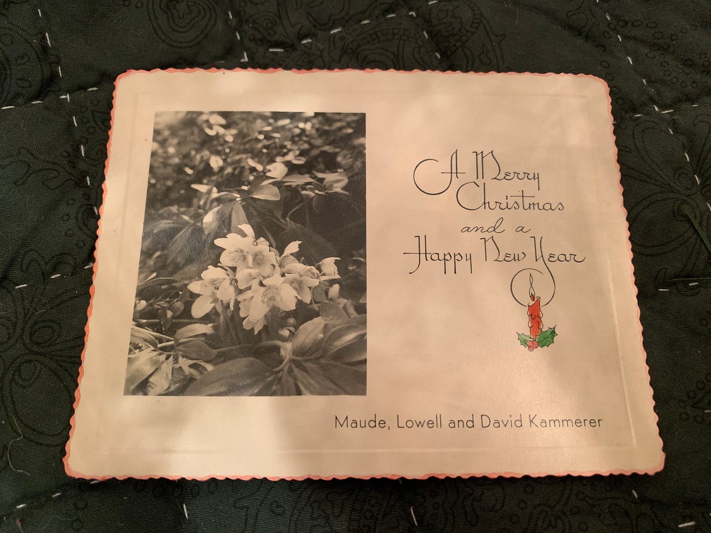White cardstock with scalloped edge dipped in red ink. On the left is a photo of ovate leaves with a small clump of blooms. On the right text reads “A Merry Christmas and a Happy New Year, Maude, Lowell and David Kammerer”