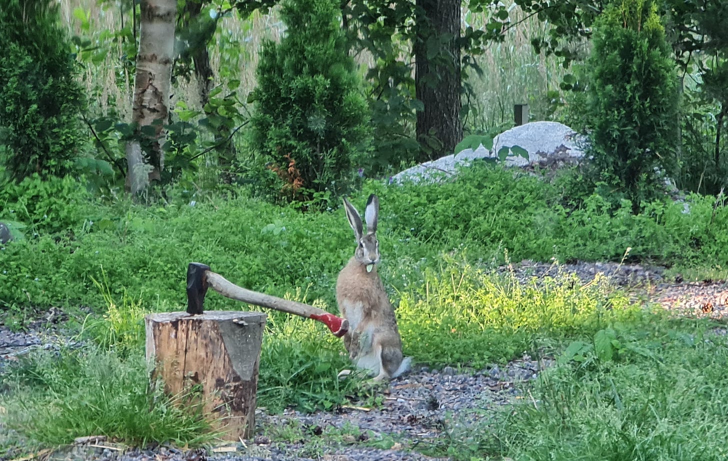 En hare spetsar öronen bredvid en huggkubbe med yxa.