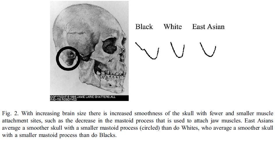 Brain size, IQ, and racial-group differences - Evidence from musculoskeletal traits (Figure 2)