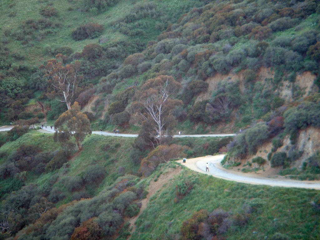 Runyon Canyon Park - Wikipedia