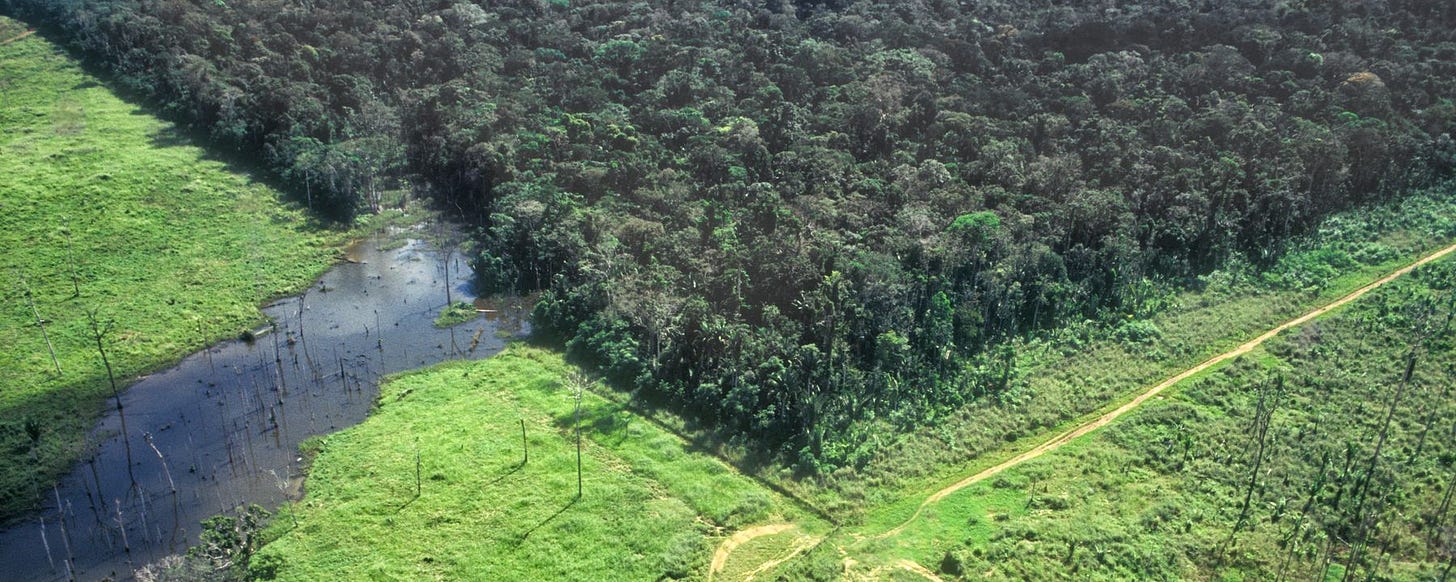 edge of the Amazon showing deforestation