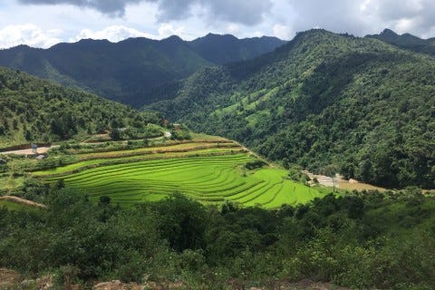 Emerald rice fields fill many of the valleys. Photo: Stuart McDonald