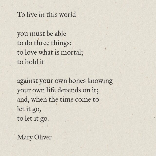 Excerpt from In Blackwater Woods by Mary Oliver // To live in this world  you must be able to do three things: … | Mary oliver quotes, Letting go  poems, Words quotes