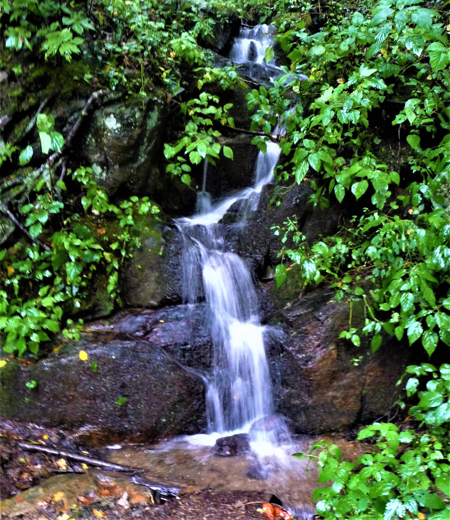 waterfall cascading down boulders in greenery