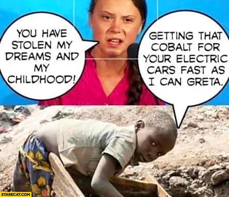 Image result from https://www.reddit.com/r/climateskeptics/comments/eewb0n/greta_has_no_idea_how_privileged_she_is/