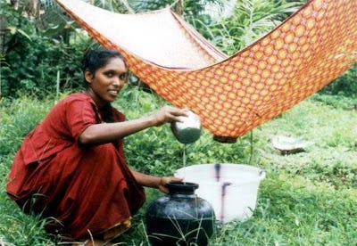 collecting rain water