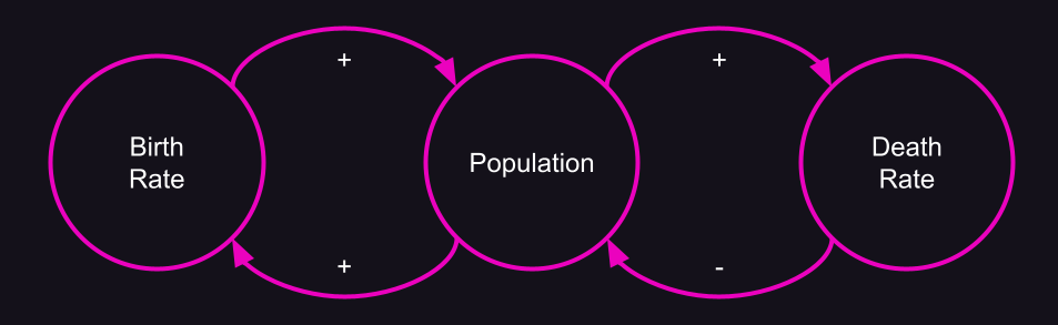Causal loop diagram for population dynamics