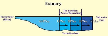 The Mediterranean sea water as it enters the Atlantic over the Gibraltar sill with its own warm, saline, and less dense characteristics, because of the barrier that distinguishes between them. Temperatures are in degrees Celsius (C°). (Marine Geology, Kuenen, p. 43, with a slight enhancement.) (Thurman, Introductory Oceanography, pp. 300-301)