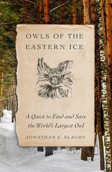 Book cover with a winter woodland scene, brown paper scroll on top, black and white illustration of an owl