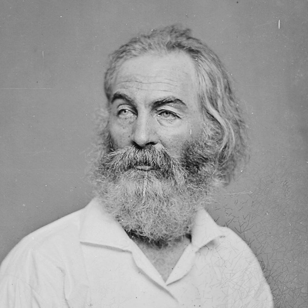 Walt Whitman "(animated stereo) Walt Whitman, c.a. 1865" by Thiophene_Guy is licensed under CC BY-NC-SA 2.0. 