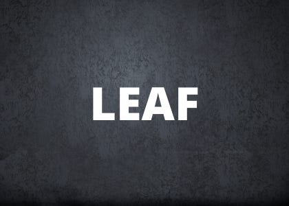 carbon removal newsroom leaf