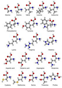 Amino acids chemical formula