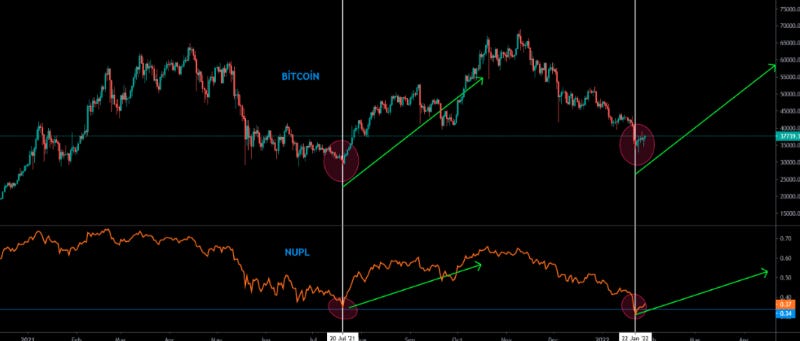 bitcoin and NUPL chart