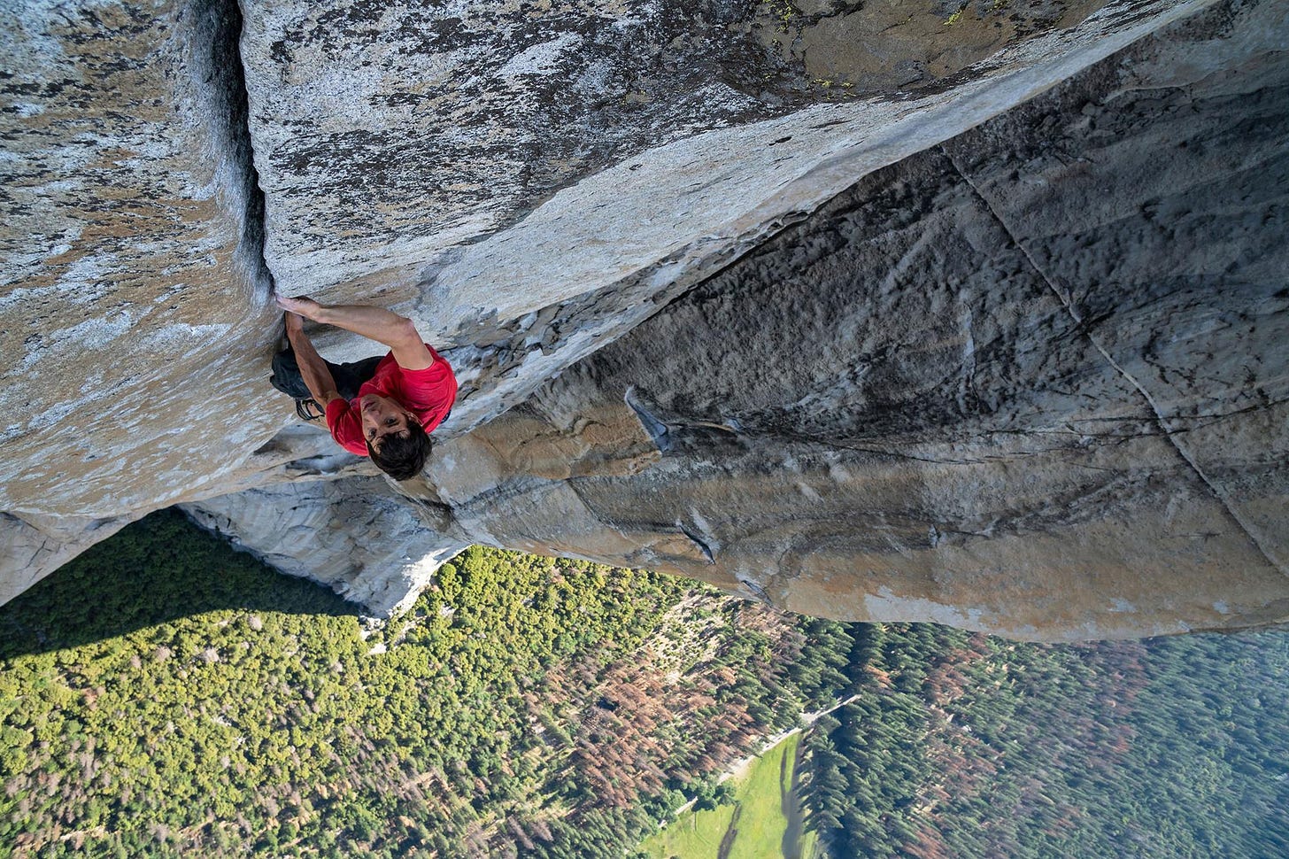 The story behind hit doc 'Free Solo': "Success was Alex surviving" |  Features | Screen
