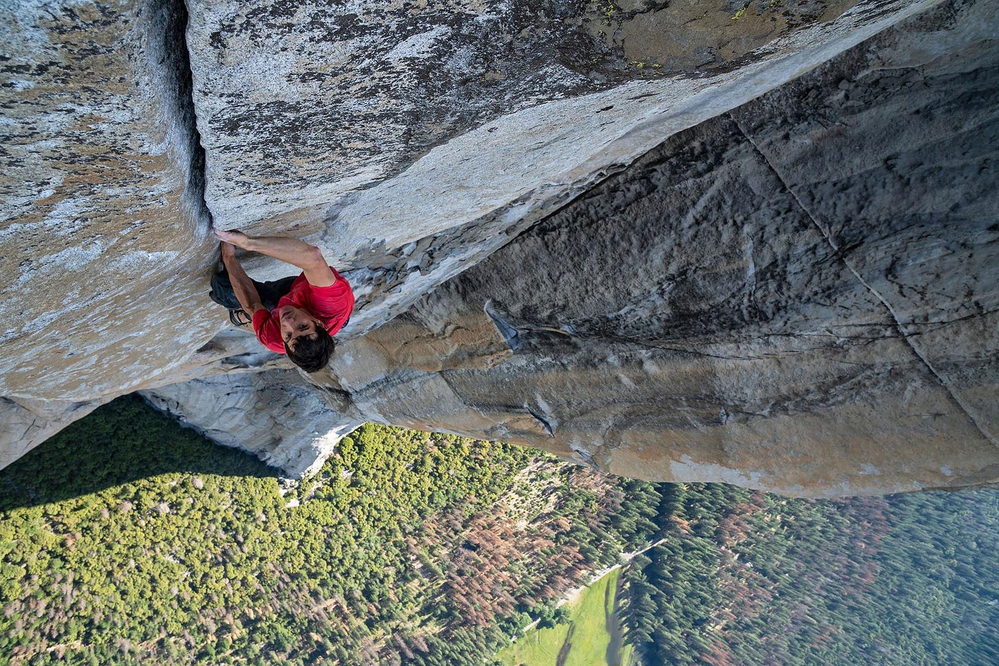 The story behind hit doc 'Free Solo': "Success was Alex surviving" |  Features | Screen