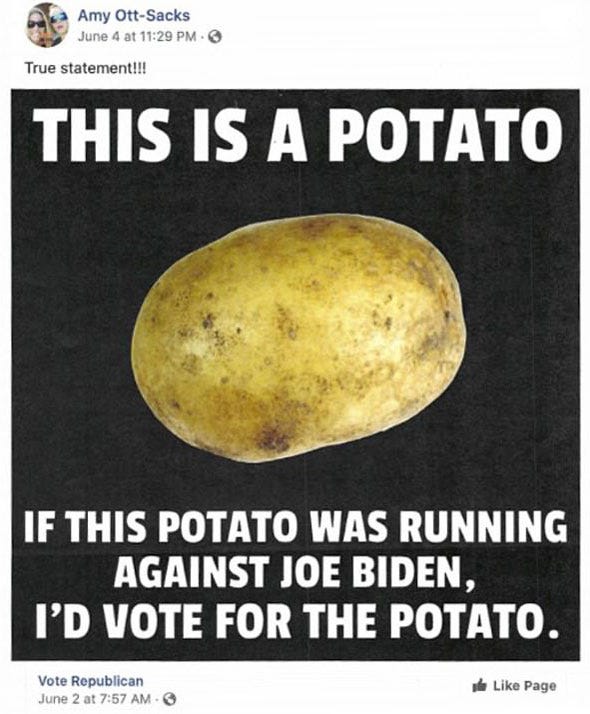 amy sacks shared a meme that said she d rather vote for a potato than joe biden