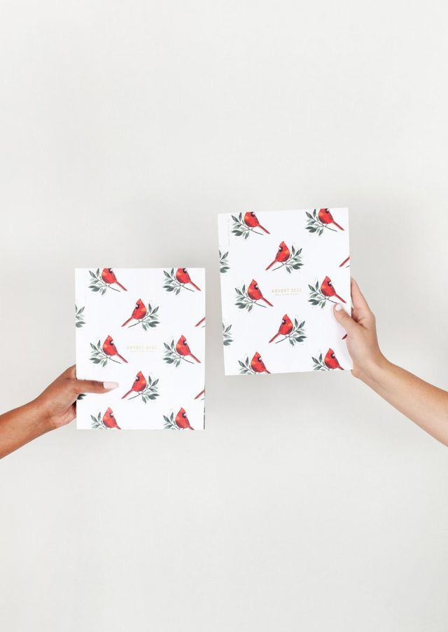 Two women's hands holding Advent Study Books, white books with cardinals on the cover