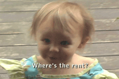 GIF: Toddler landlord Pearl screams "Where's the rent?"