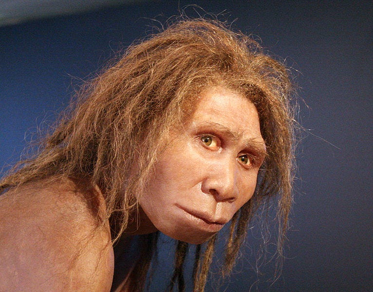 File:Homo georgicus.jpg - Wikimedia Commons