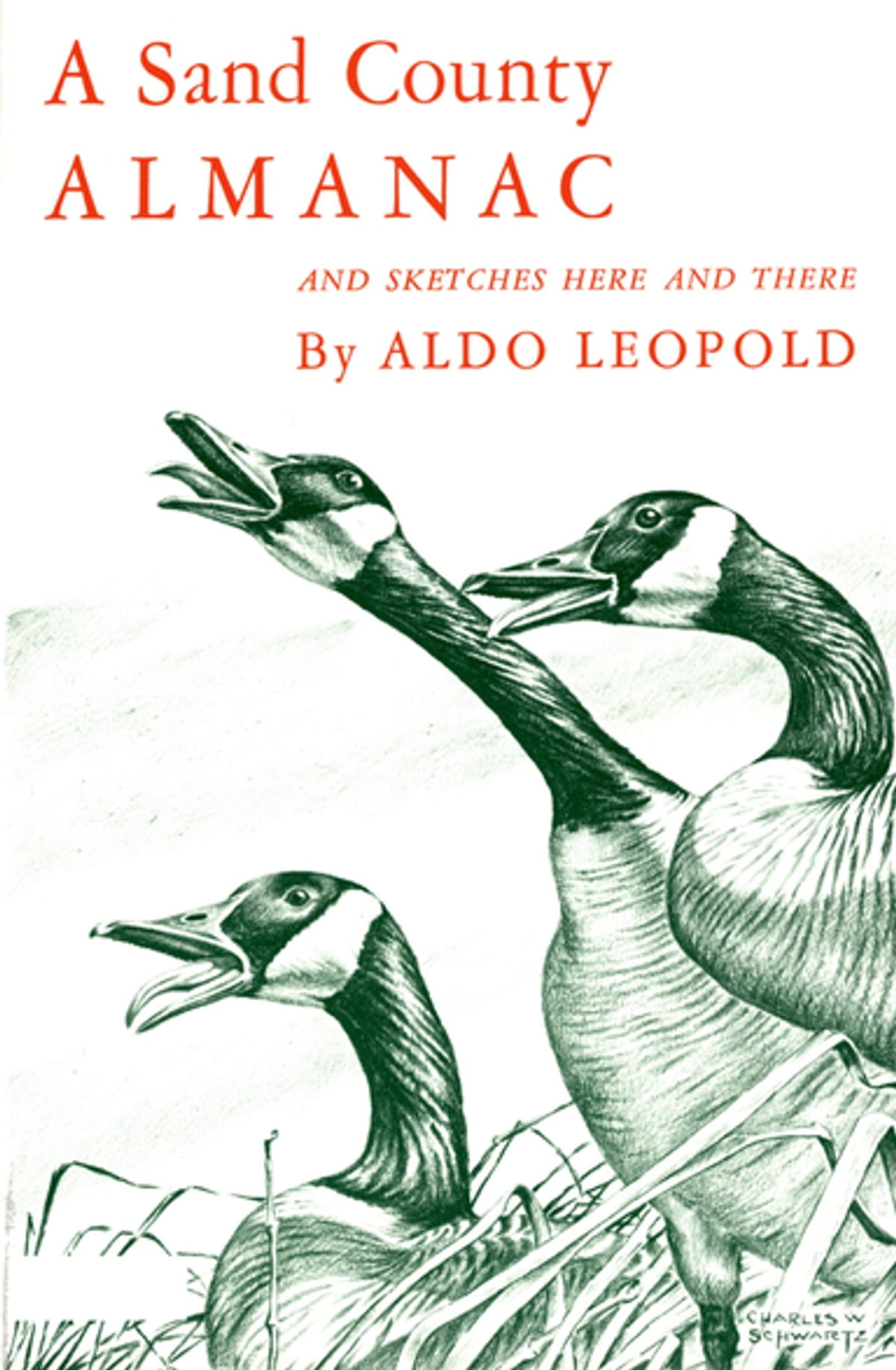A Sand County Almanac eBook by Aldo Leopold - 9780199743872 | Rakuten ...