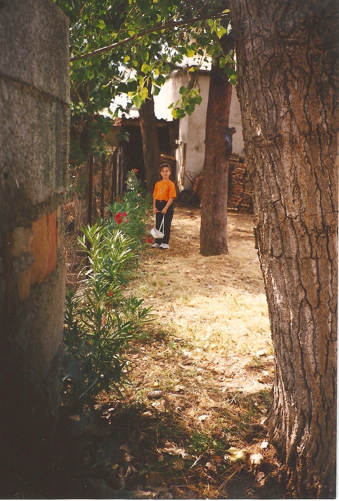 A young Cassandra poses next to a tree in a backyard. Red flowers grow along the fence. The lawn is patchy and yellow.