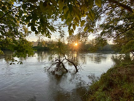 Wide shot of the river as the sun begins to rise in the sky. Photo by Dr. Jo