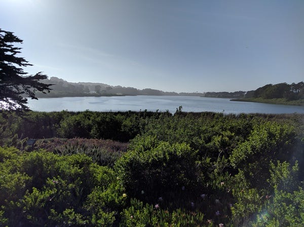Lake Merced (as usual), all the time.