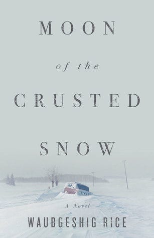 cover of Moon of the Crusted Snow by Waub Rice