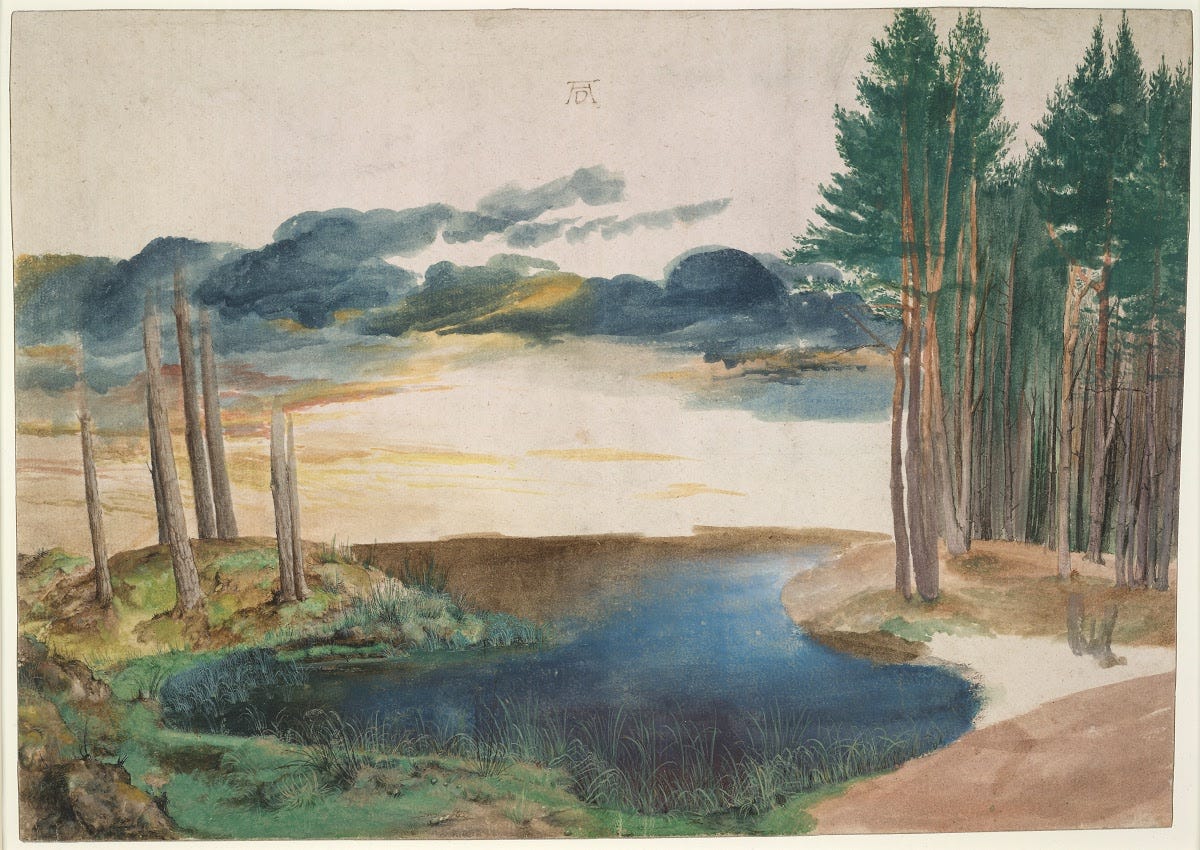 Landscape with a Woodland Pool - Albrecht Dürer — Google Arts ...