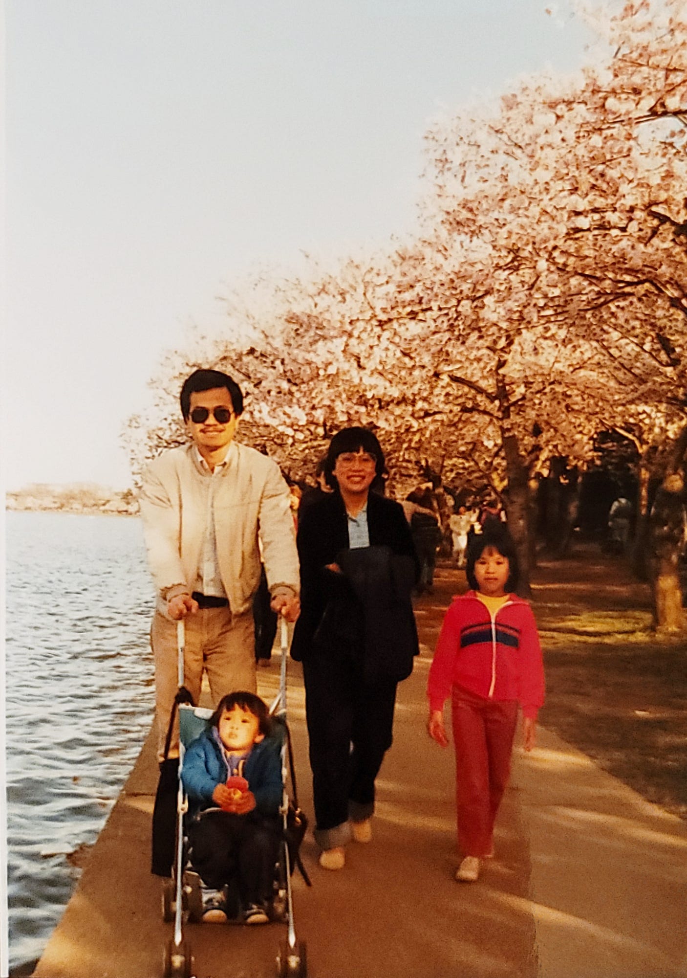 My father, mother, second of my two sisters, and brother walking with cherry blossoms behind them.
