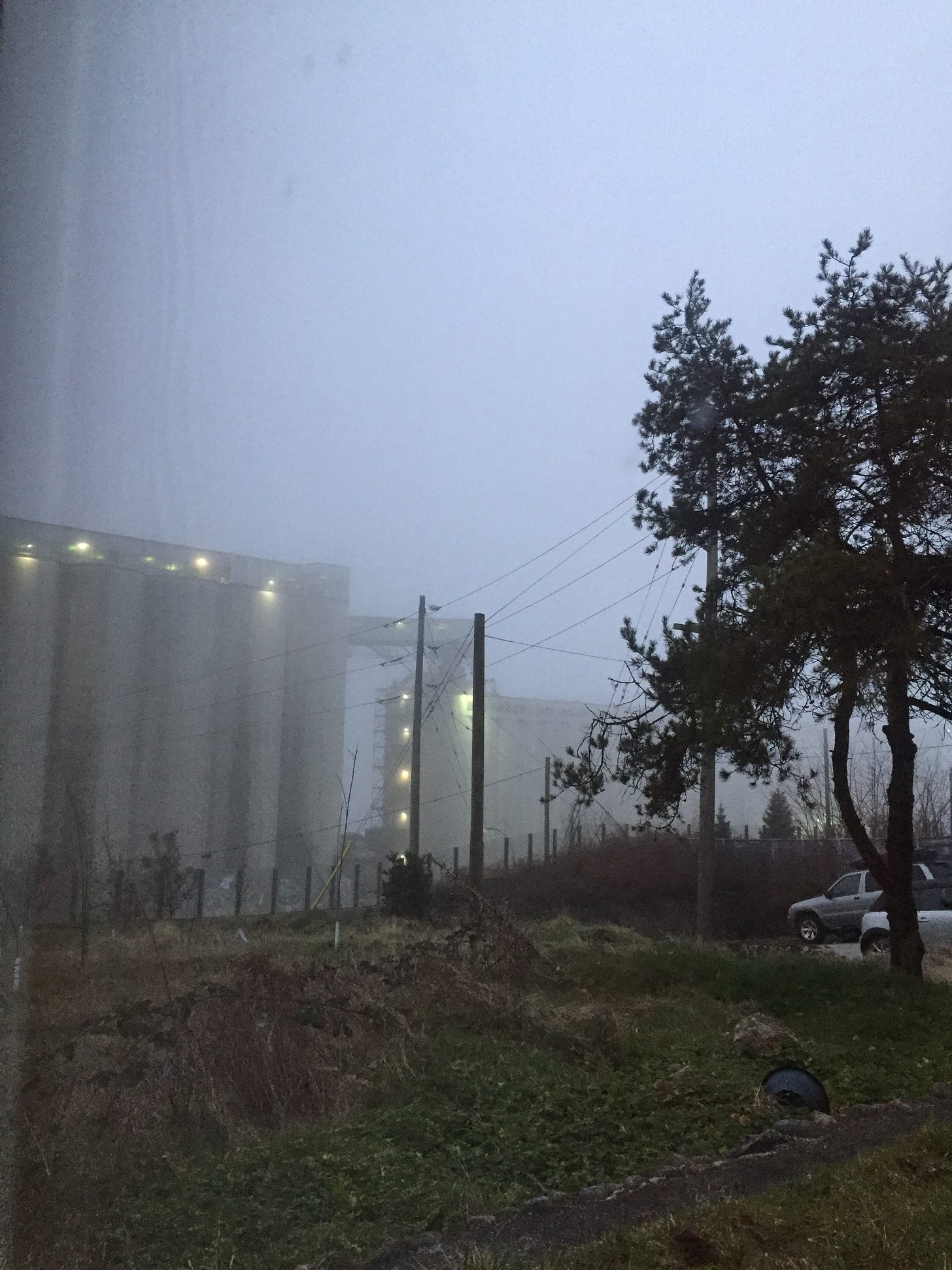 A yard with with a tree on the right hand side, overlooking a foggy horizon of dimly-lit grain silos at the harbour.