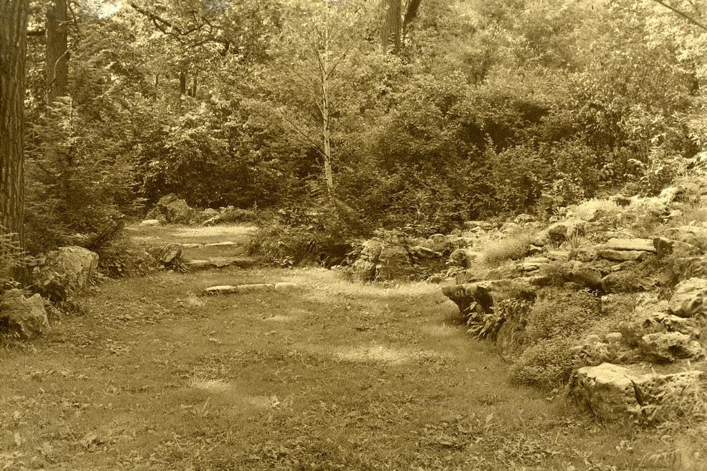 Sepia photo of a small clearing surounded by trees, brush, and rocks. Sepia photo of a small clearing surounded by trees, brush, and rocks.
