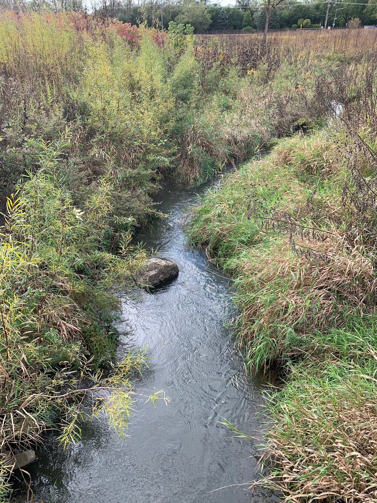 A narrow stream running through a yellow-green, yellow, and brown prairie.