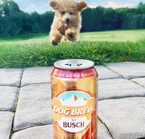 Dog Brew by Busch | All-Natural Bone Broth for Dogs