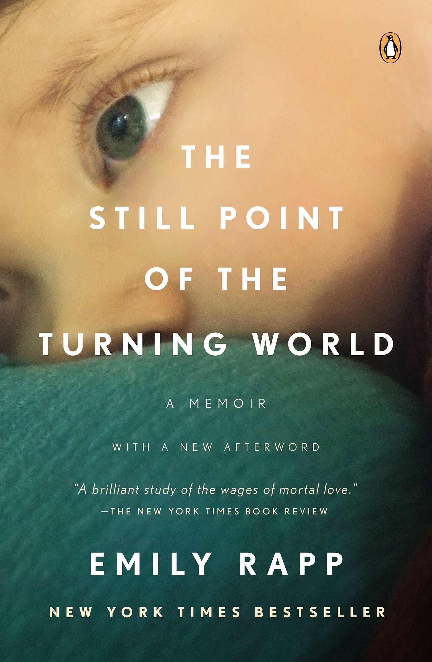 Cover of Still Point of the Turning World