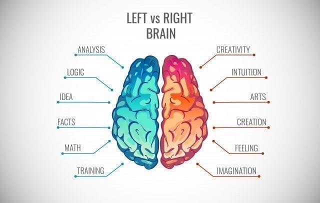 Left Brain, Right Brain: 9 Ways Our Brain Hemispheres Work Together |  Cognifit