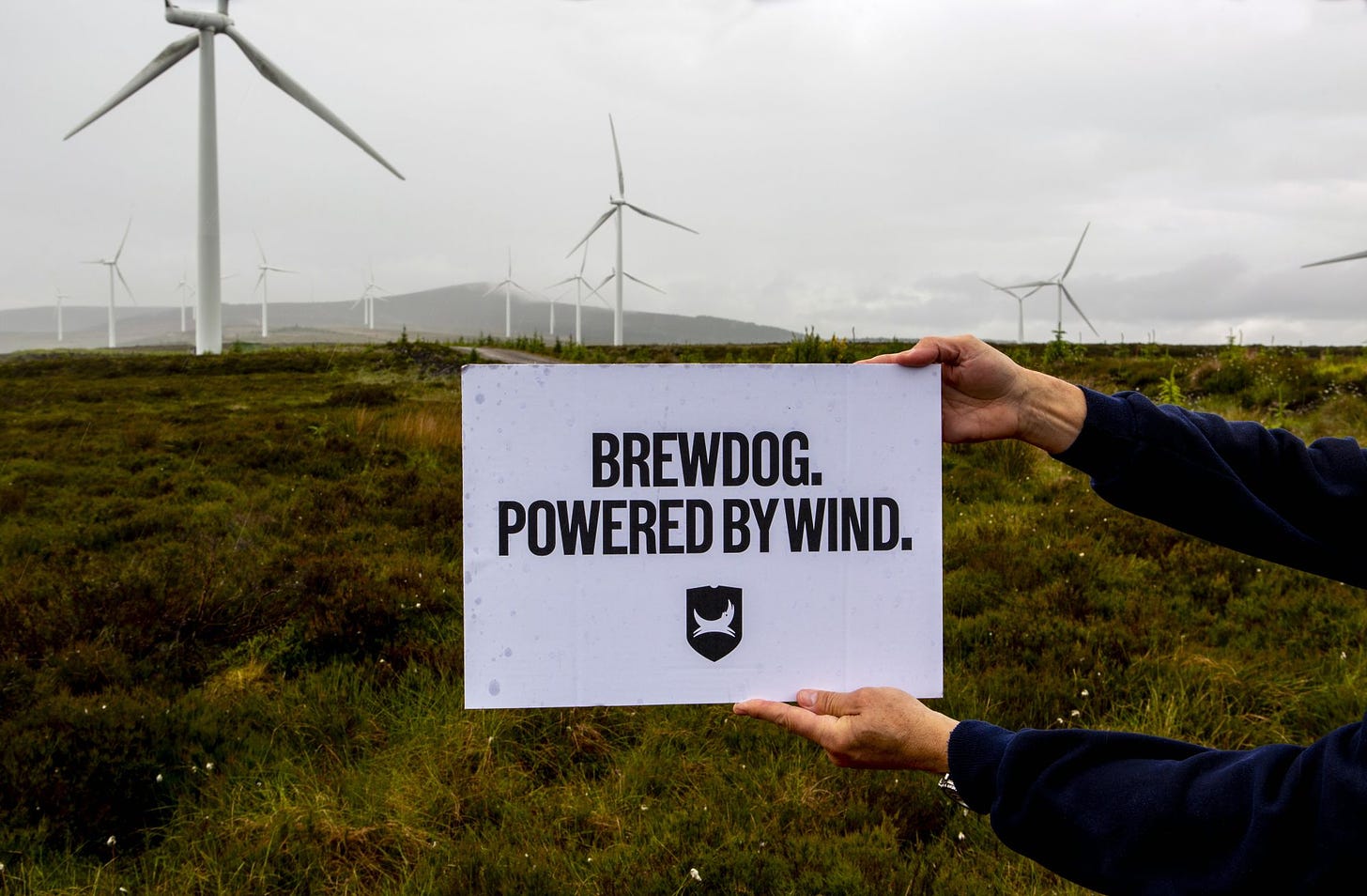 BrewDog Tomorrow: A Sustainability Update - BrewDog