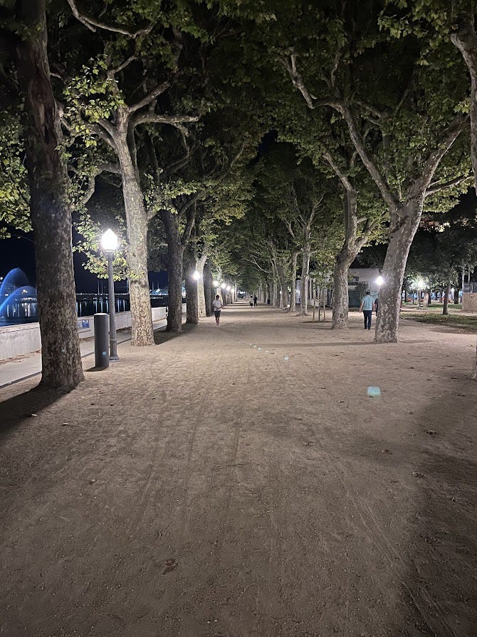 A  tree-lined park path at night