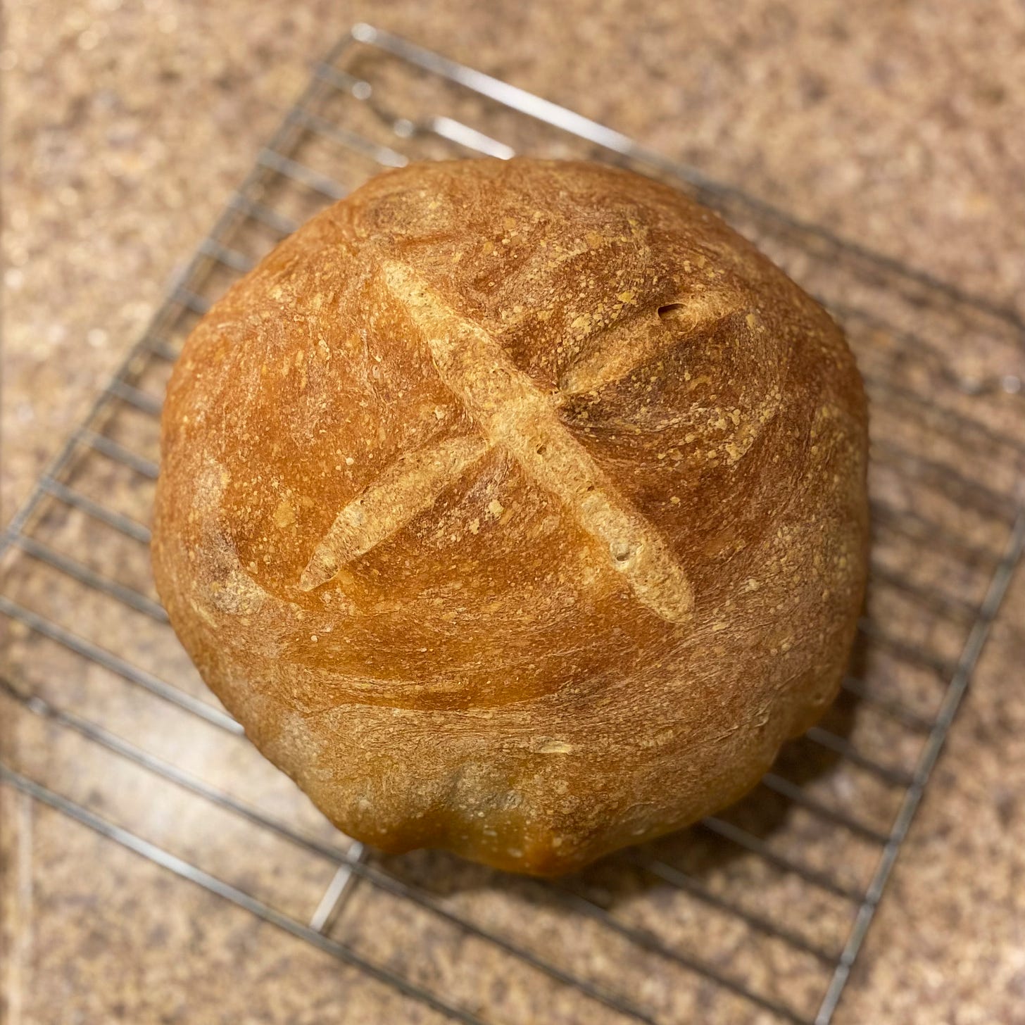 A sourdough boule, fresh out of the oven on a cooling rack. A big X is cut into its top.