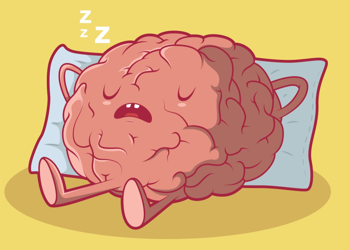 As You Snooze, Your Brain Reviews