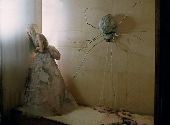 Tim Walker: a very different fashion photographer - in pictures | Art and  design | The Guardian