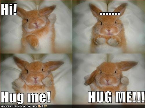 lolcat2