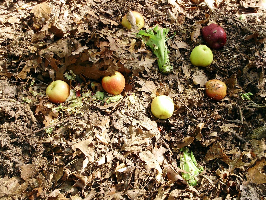 "Compost Pile" by Mullica is licensed under CC BY-NC 2.0 