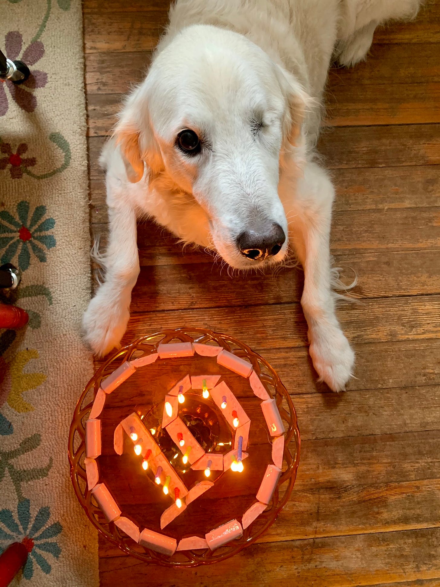 a golden retriever in front of a number ten made of meat on a cake platter