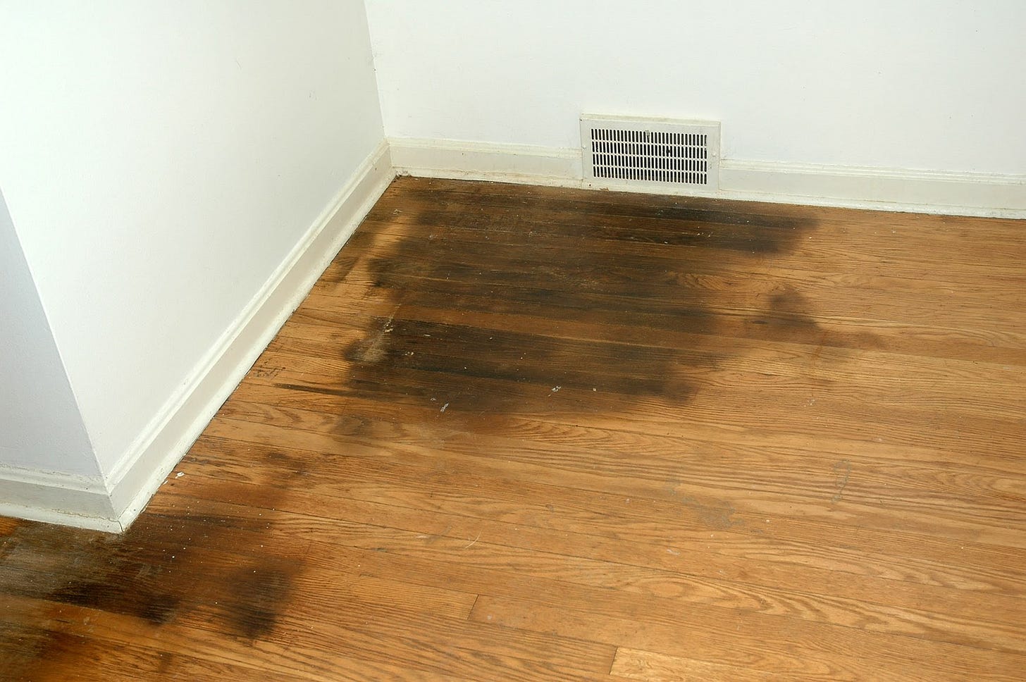 How To Remove Urine From Hardwood Floors? - Northside Floors